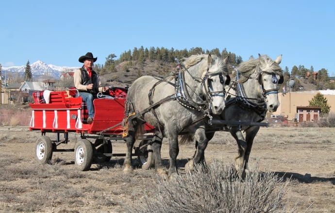 Wagon rides