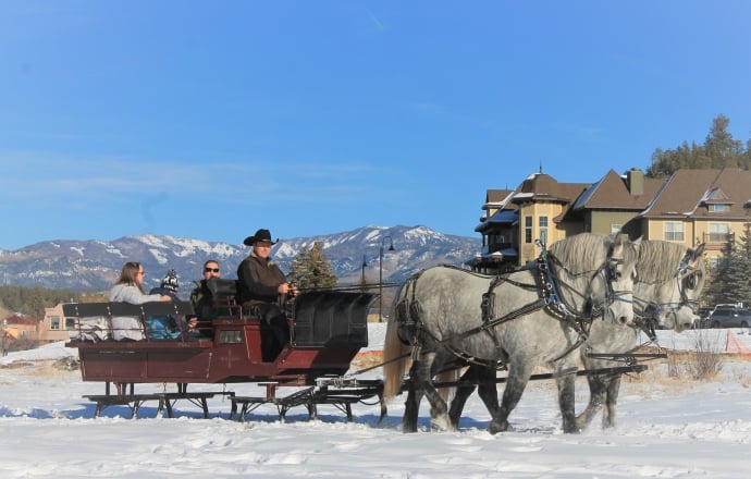 Horse drawn sleigh rides