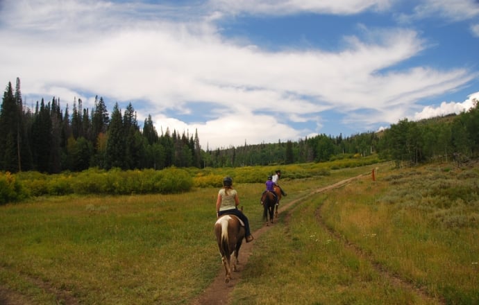 Horseback riding